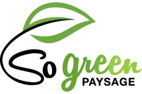 Logo So Green Paysage Artisan Paysagiste VAR