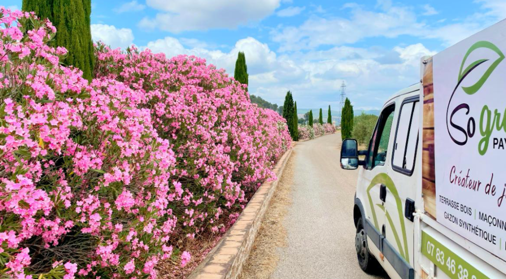 Photo de couverture Haie Laurier Rose - Camion Jardinier Var So Green Paysage